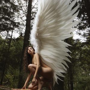 Reveal Your Ethereal Beauty: A Guide to Boudoir Photography with Wings