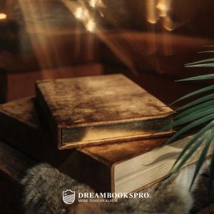 Turn Your Boudoir Albums into Showstoppers with this Collection