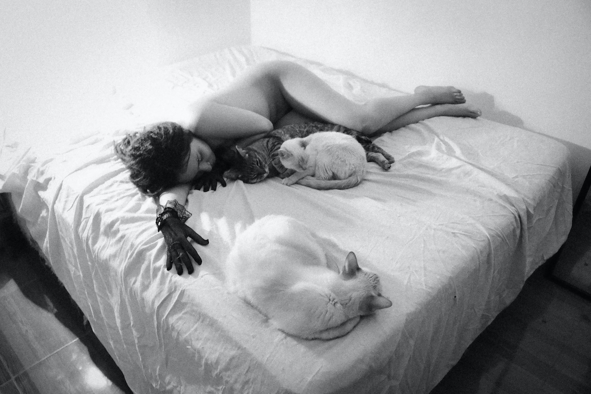 Feline Seduction and Lace - Orbe Dub & Paul Estévez Image 18