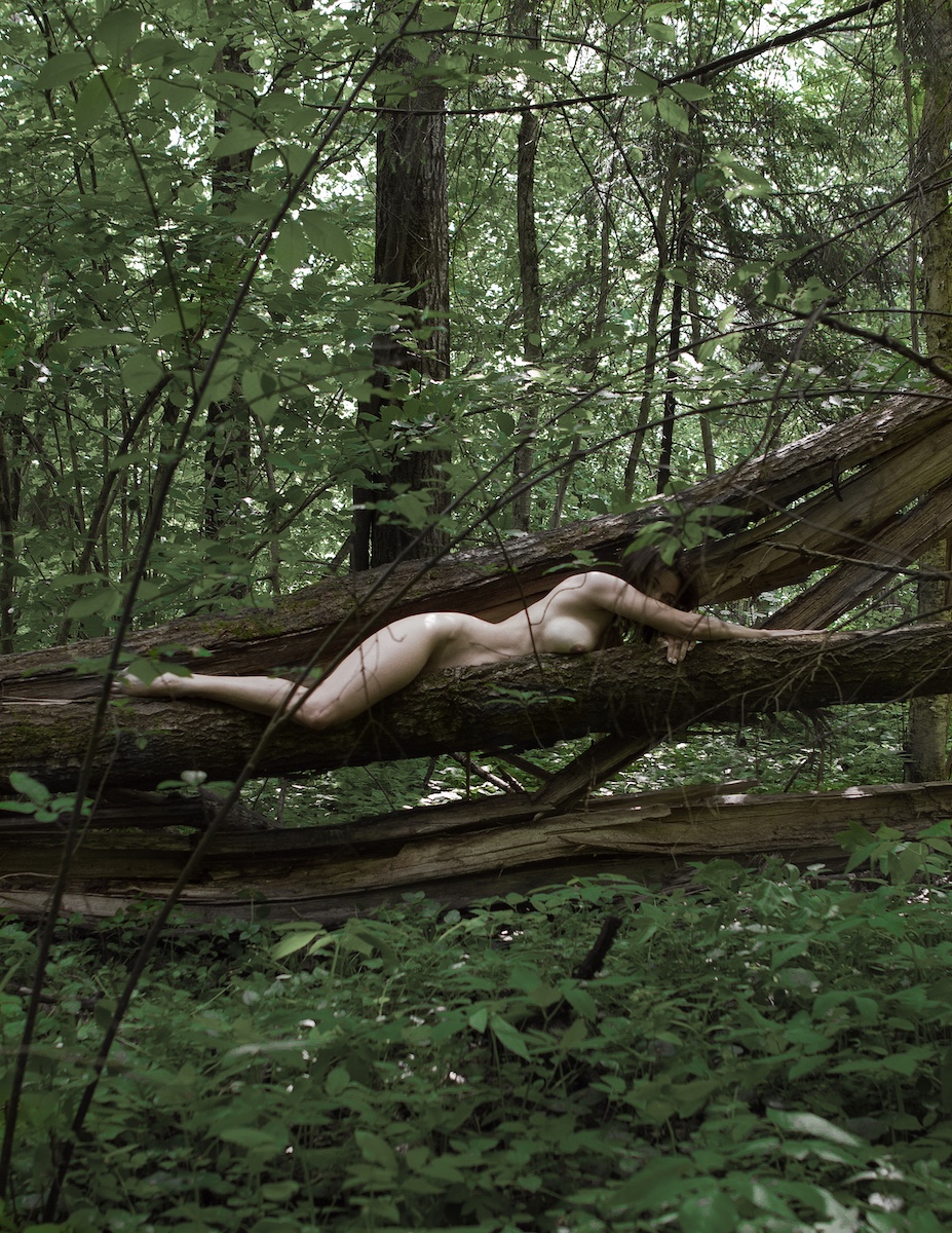 In the Forest - Evgeniya & Petr Maksimov Image 3