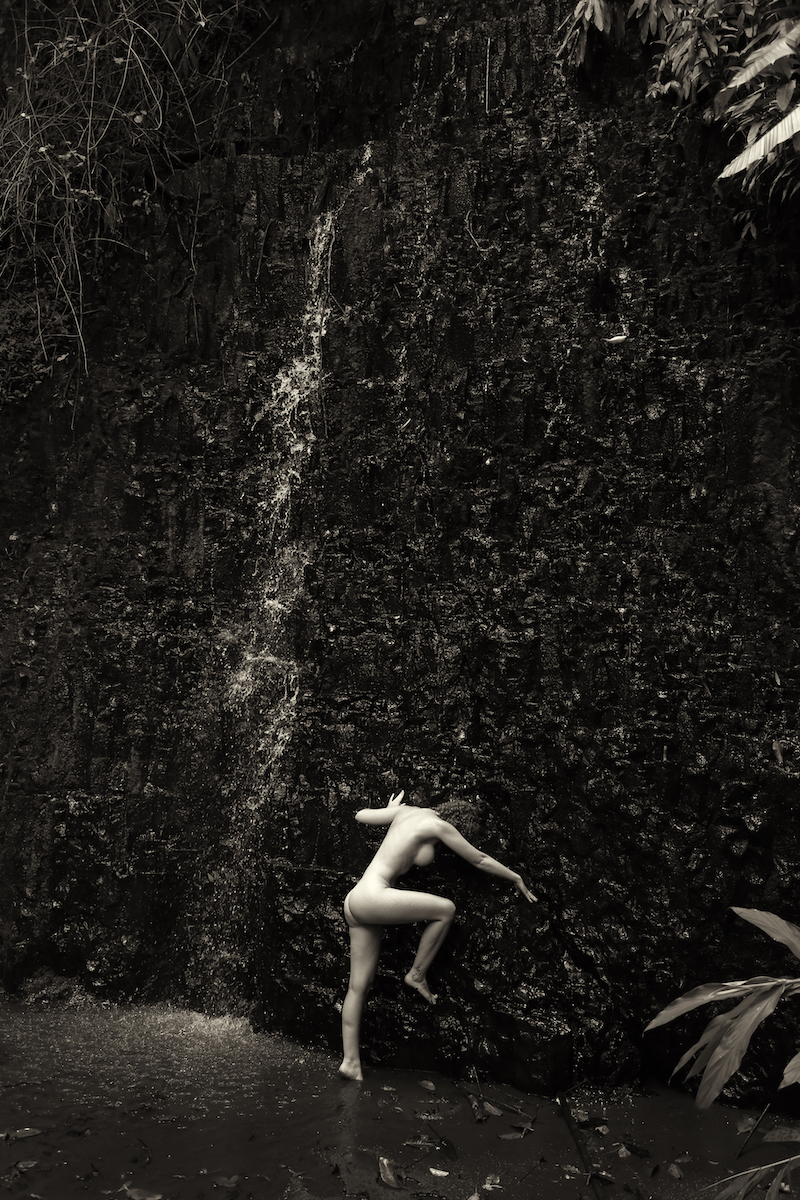 Welcome to the jungle - Silvia Guilherme & Lechat Image 5