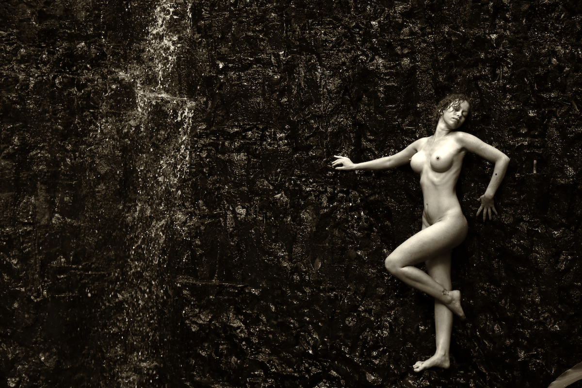Welcome to the jungle - Silvia Guilherme & Lechat Image 2