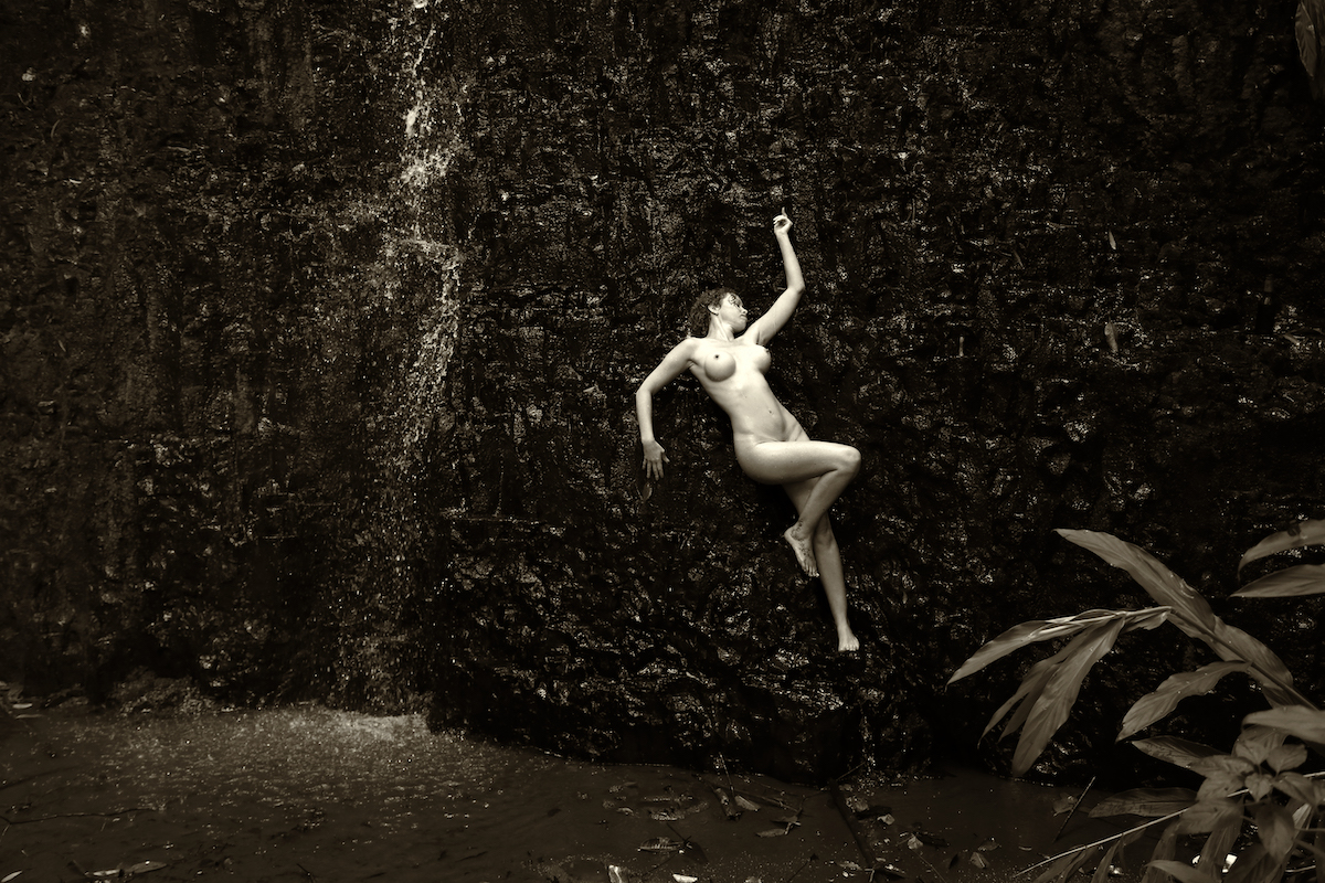 Welcome to the jungle - Silvia Guilherme & Lechat Image 1
