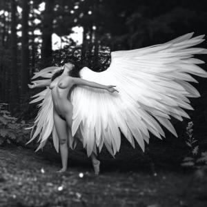 Wings Of Desire Aranza Ramos Raul Rodriguez Photography 11 Boudoir Photography with Wings