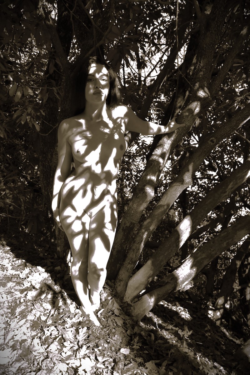 A Real Woman of the Wild - Jeffrey DeCristofaro & Tae Ashlandi Image 30