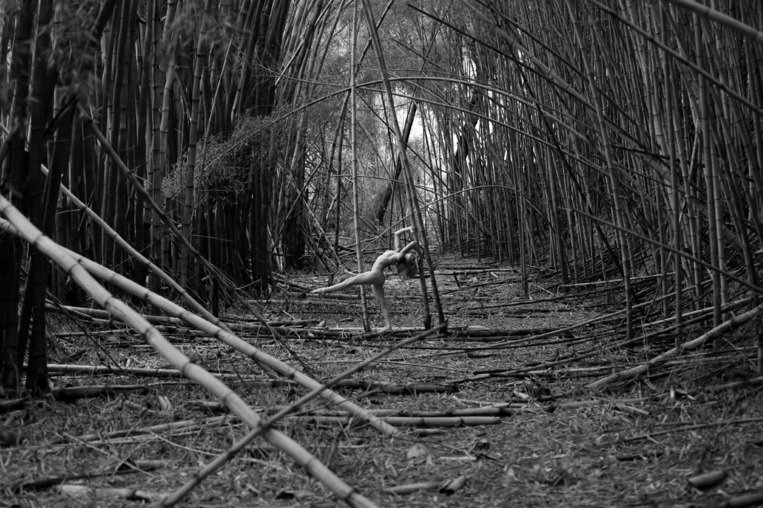 Agatta - Agattagiatti & Lechat Image 4