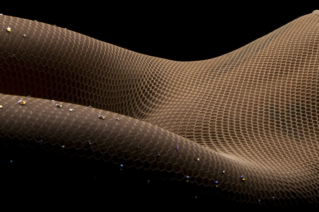 Bodyscapes - Laura Price & Edward Wright Image 6