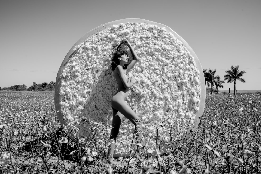 Cotton - Ingrid Sousa & Luciano Freire Image 12