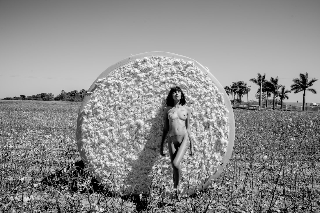 Cotton - Ingrid Sousa & Luciano Freire Image 16