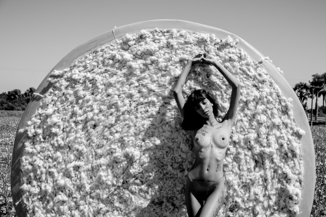Cotton - Ingrid Sousa & Luciano Freire Image 17