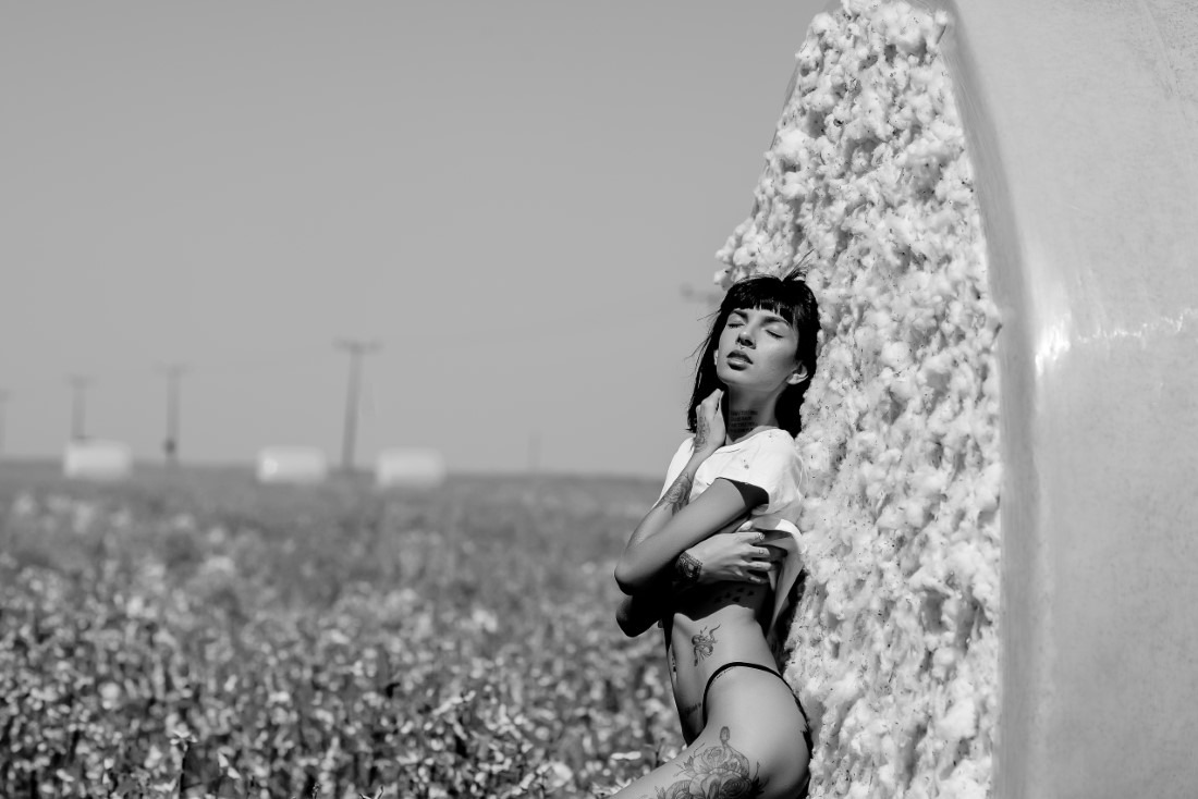Cotton - Ingrid Sousa & Luciano Freire Image 21