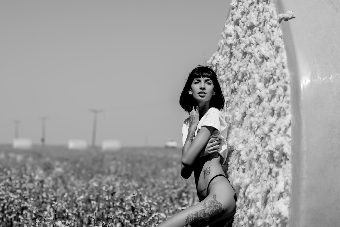 Cotton - Ingrid Sousa & Luciano Freire Image 23