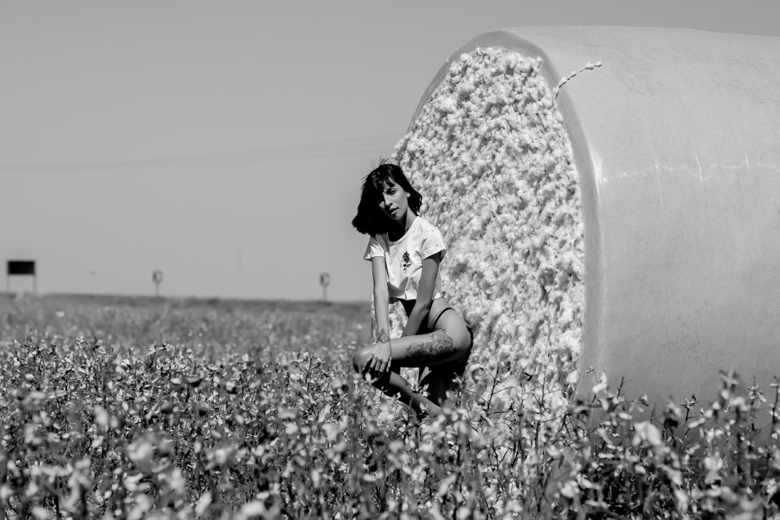 Cotton - Ingrid Sousa & Luciano Freire Image 24