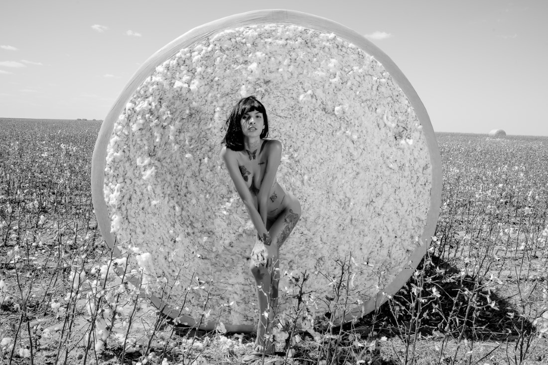 Cotton - Ingrid Sousa & Luciano Freire Image 4