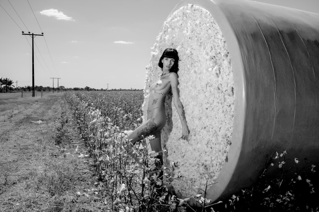 Cotton - Ingrid Sousa & Luciano Freire Image 5