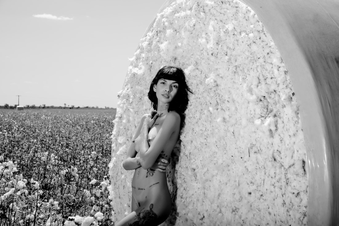 Cotton - Ingrid Sousa & Luciano Freire Image 6