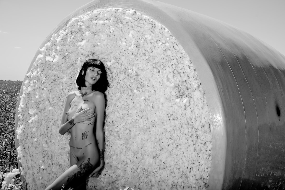 Cotton - Ingrid Sousa & Luciano Freire Image 7