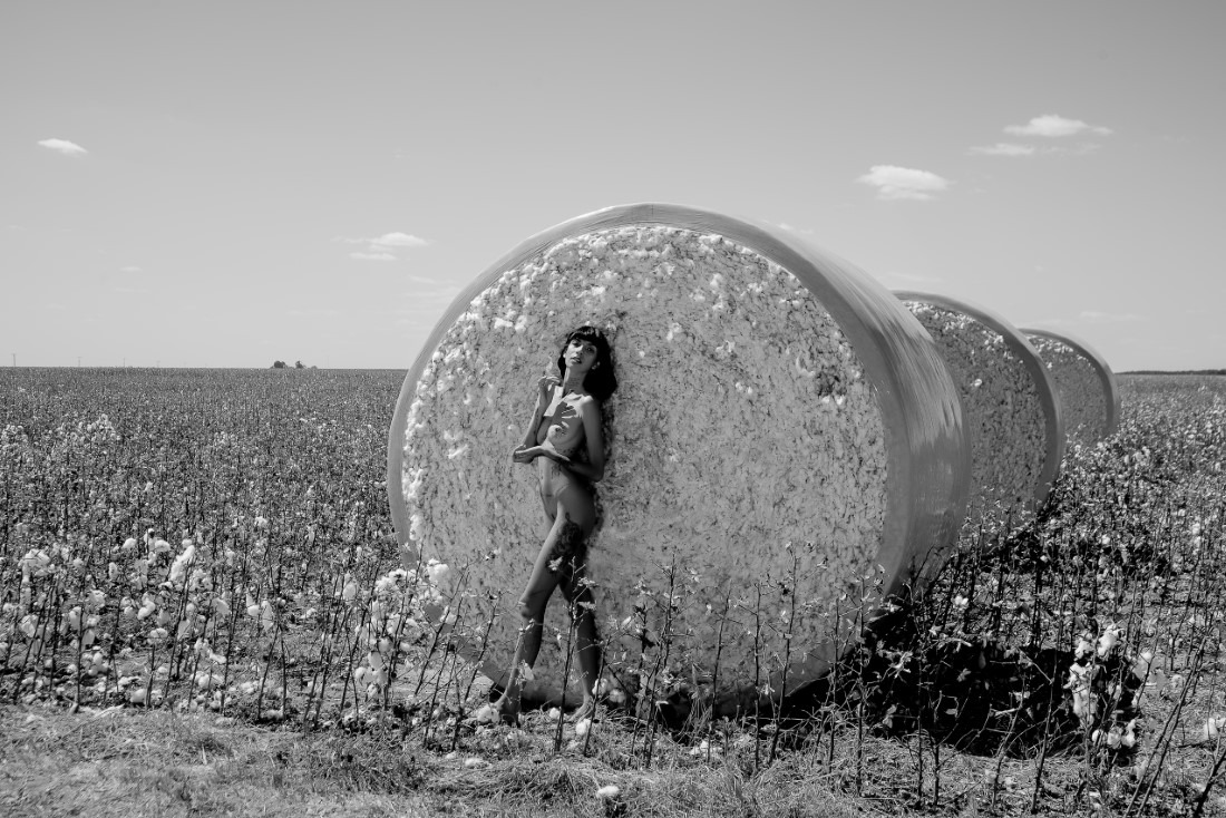 Cotton - Ingrid Sousa & Luciano Freire Image 8