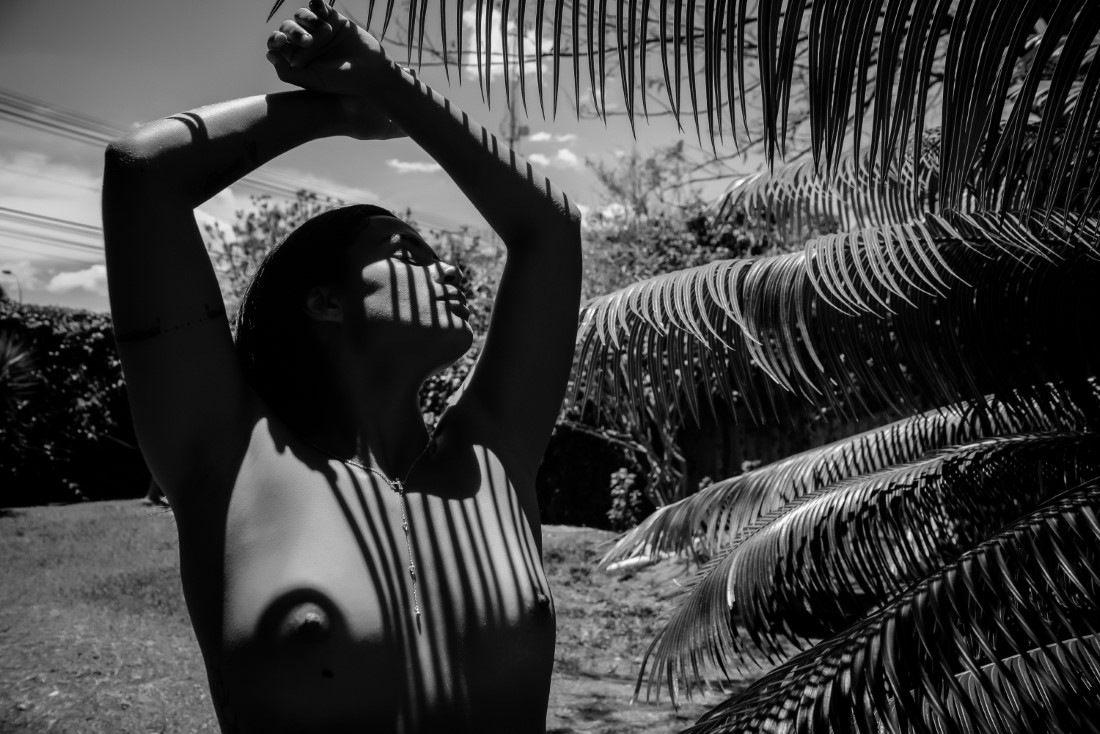 Divas - Luciano Freire Image 16