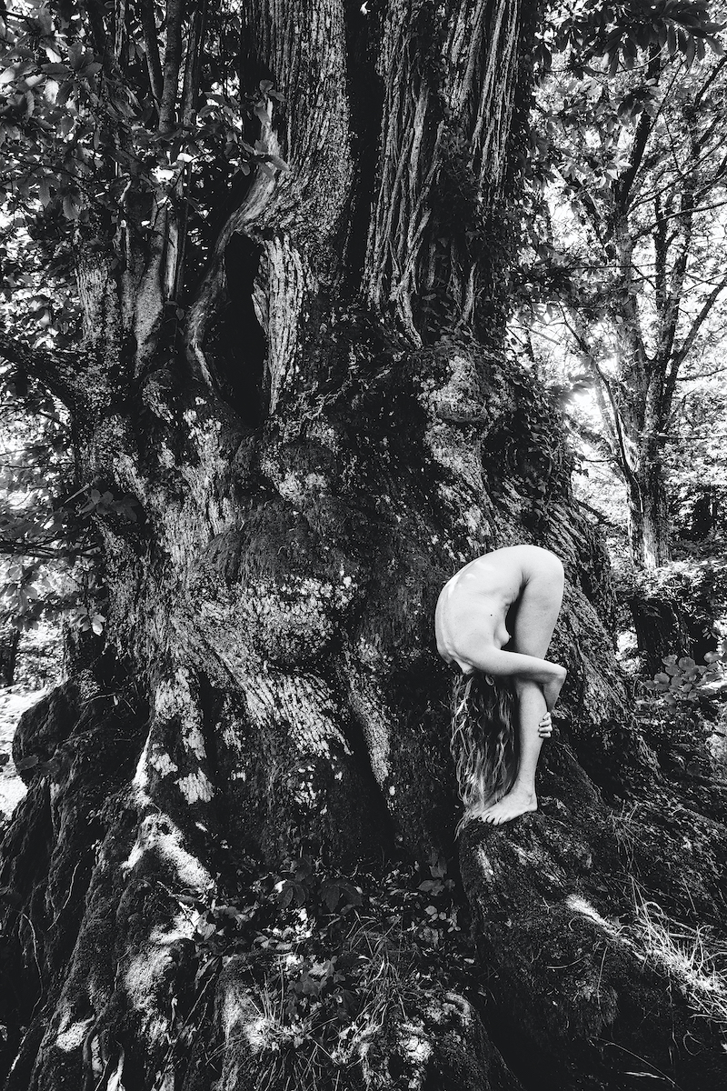 Driade - Aviv & Gianluca Riggi Image 5