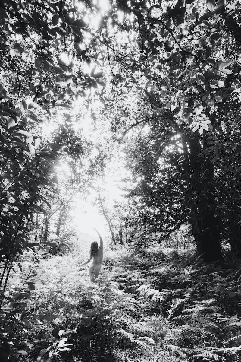 Driade - Aviv & Gianluca Riggi Image 7