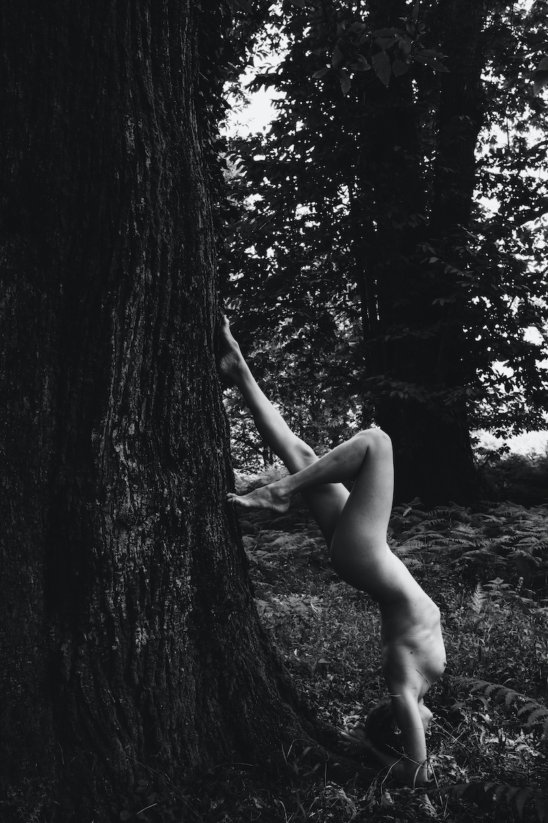 Driade - Aviv & Gianluca Riggi Image 9