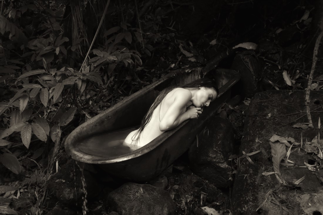 Erica Balter & Lechat - Erica Image 10