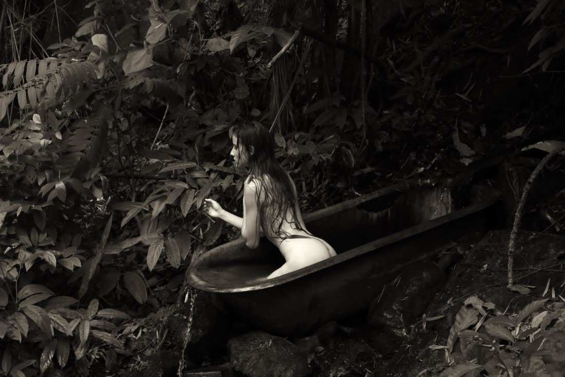 Erica Balter & Lechat - Erica Image 4