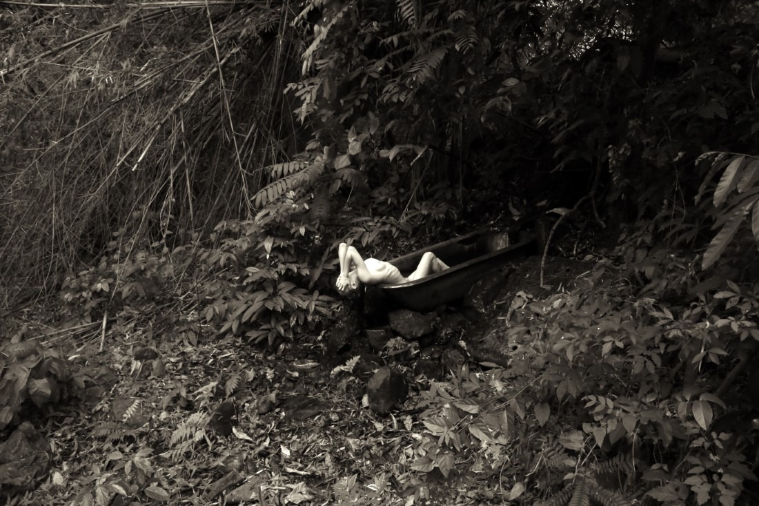 Erica Balter & Lechat - Erica Image 5