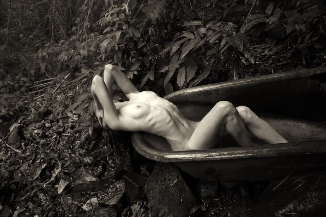 Erica Balter & Lechat - Erica Image 6