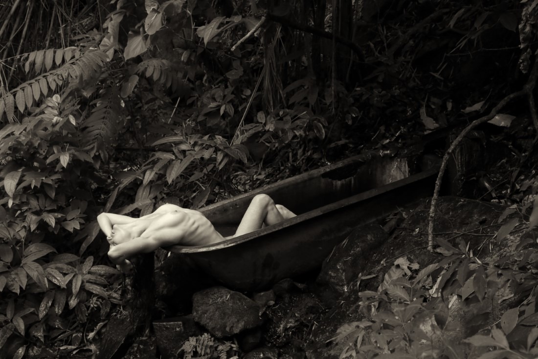 Erica Balter & Lechat - Erica Image 8