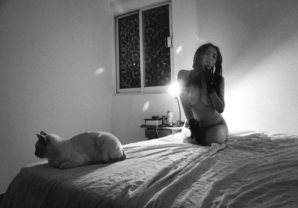 Feline Seduction and Lace - Orbe Dub & Paul Estévez Image 14