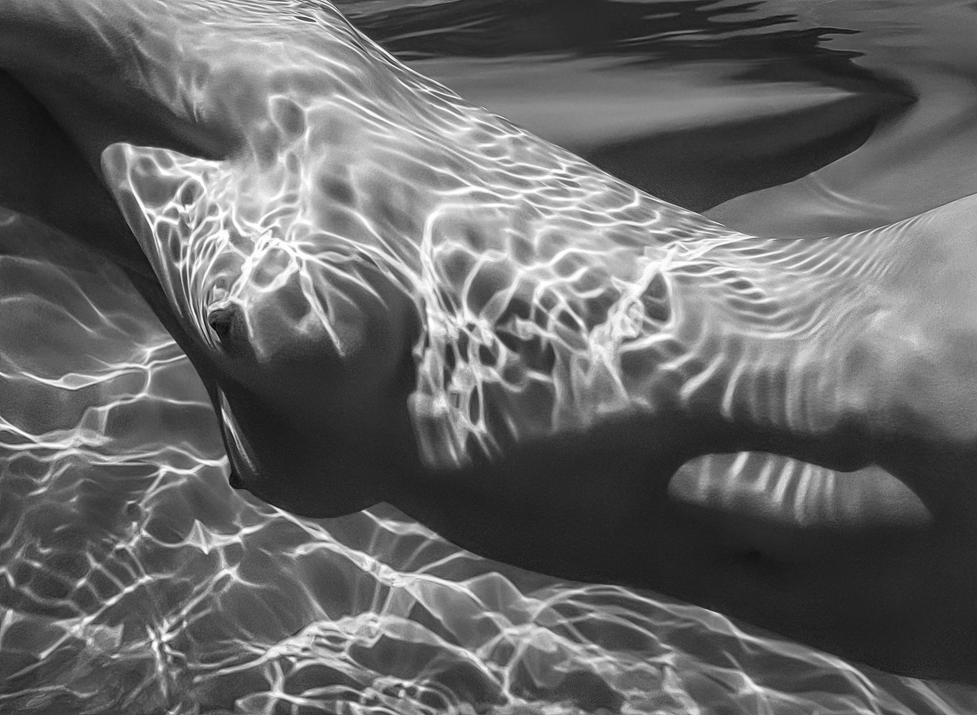 Hot Summer 24 - Alex Sher Image 17