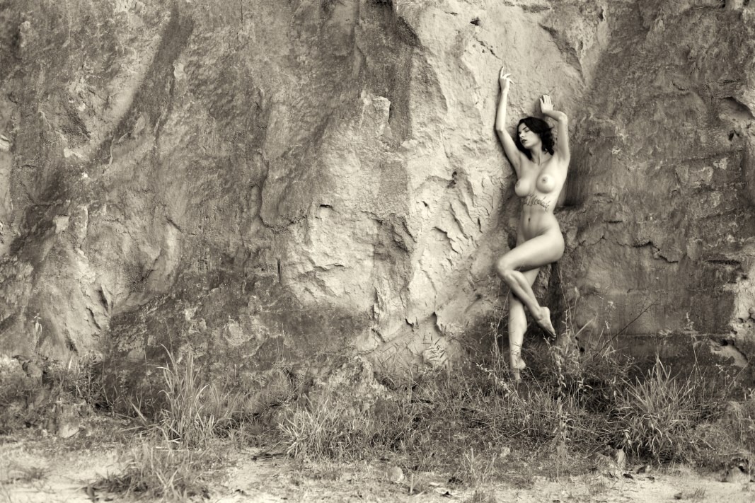 Lechat & Aline Francesco - The Kingdom Of Freedom Image 10