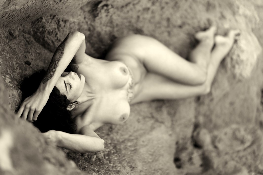 Lechat & Aline Francesco - The Kingdom Of Freedom Image 5