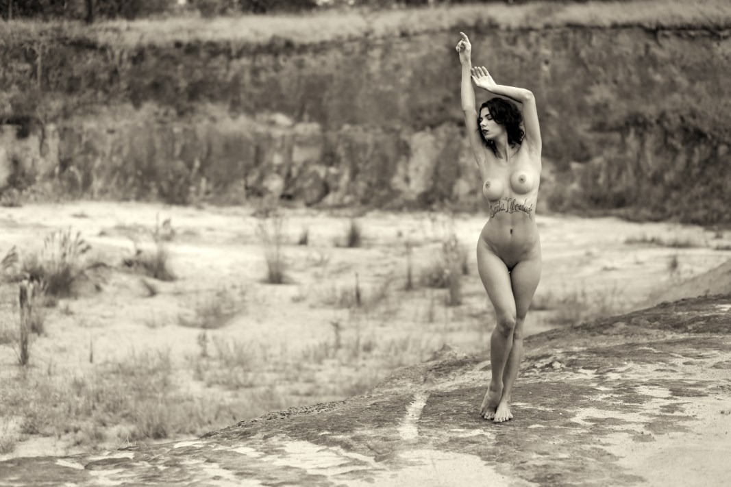 Lechat & Aline Francesco - The Kingdom Of Freedom Image 6