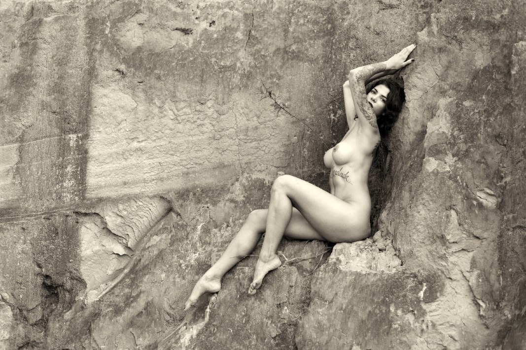 Lechat & Aline Francesco - The Kingdom Of Freedom Image 7