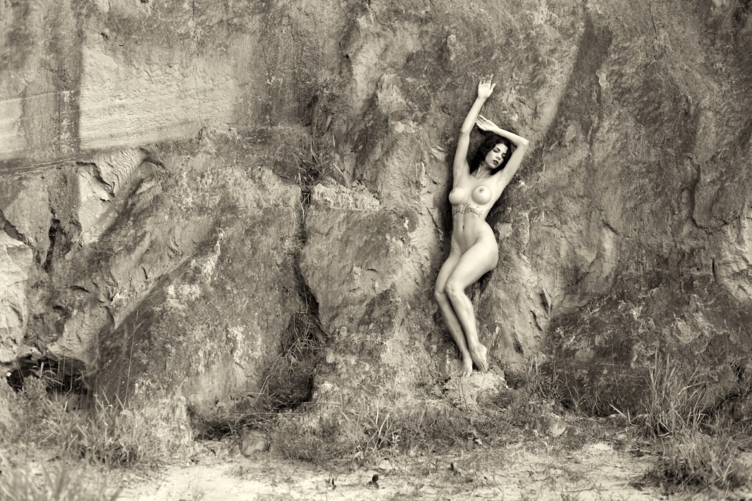 Lechat & Aline Francesco - The Kingdom Of Freedom Image 8