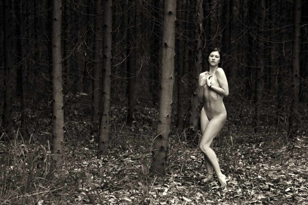 Lechat & Gabriella Joris - J.o.r.i.s Image 4