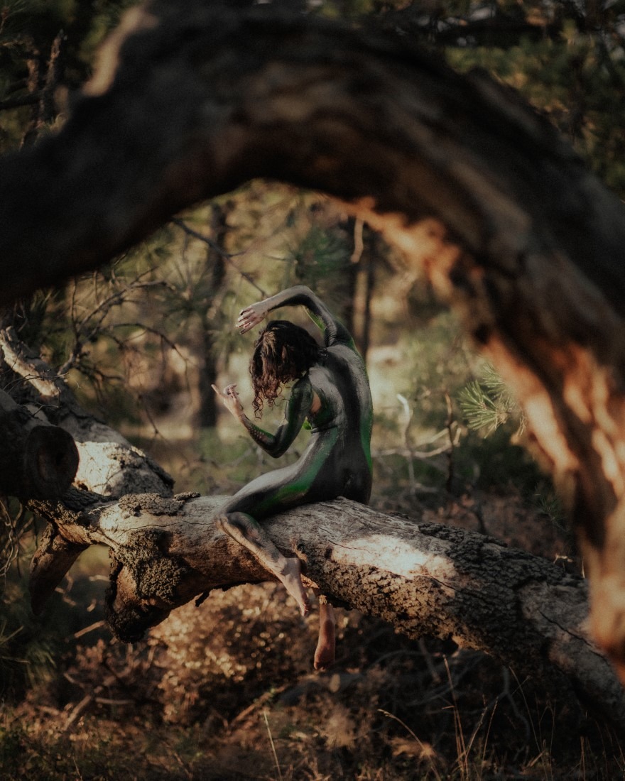 Painted In The Forest - Nebula & Ryan Joseph Image 20