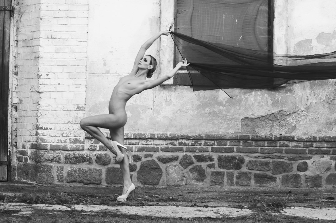 Quam Cortinarum Vela - Domini & Tink Lockett Image 5