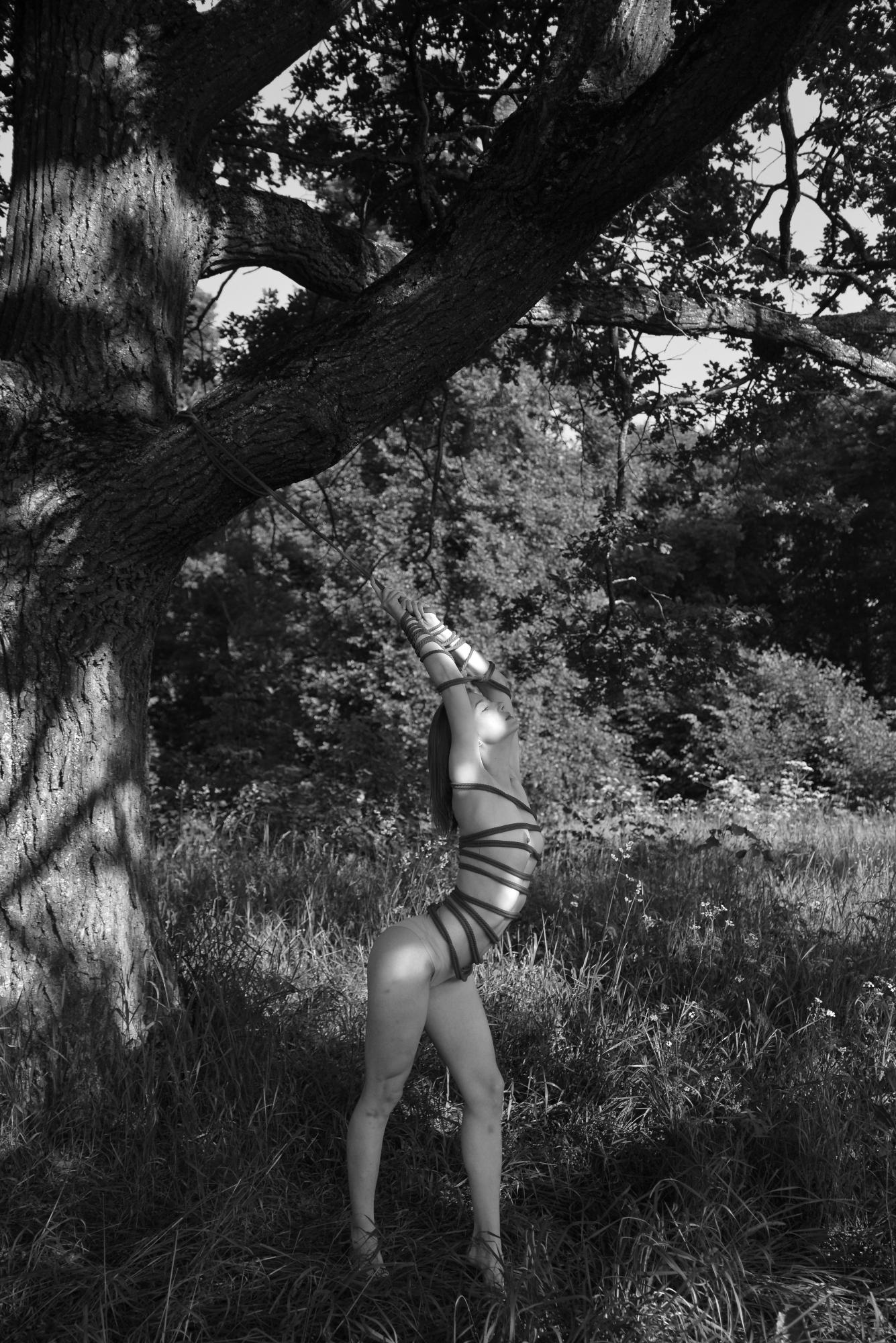 The Bound - Artem Loginov & Victoria Lozhkina Image 3
