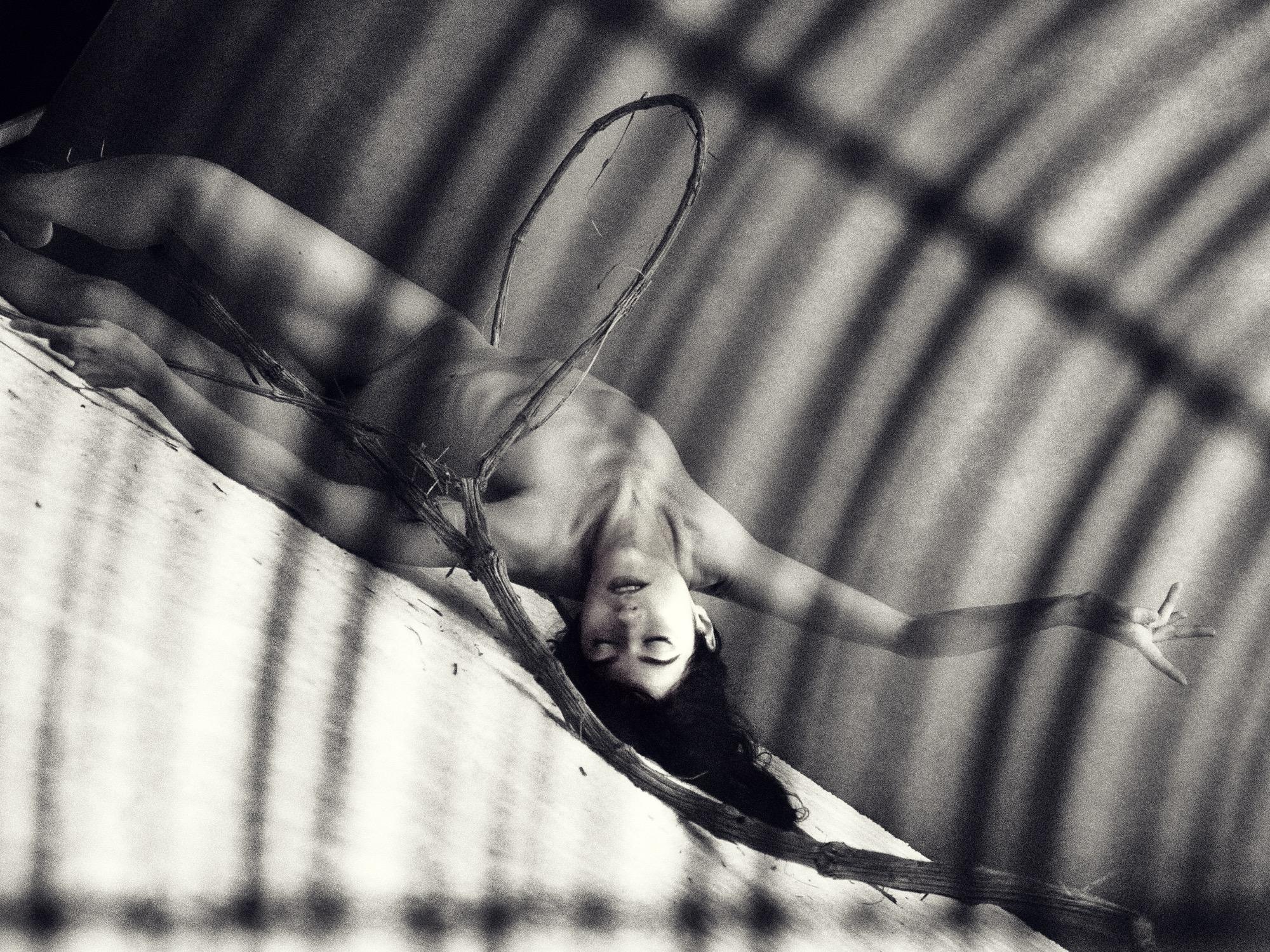 Through The Fan - Joachim Thomas & Ludovica Abrate & Ambra Zannoni & Francesca Pellegrini  Image 8