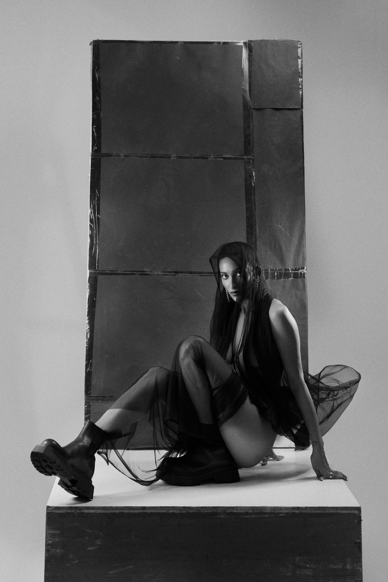 Veil Theory - Shreyans Dungarwal & Garima Verma Image 5