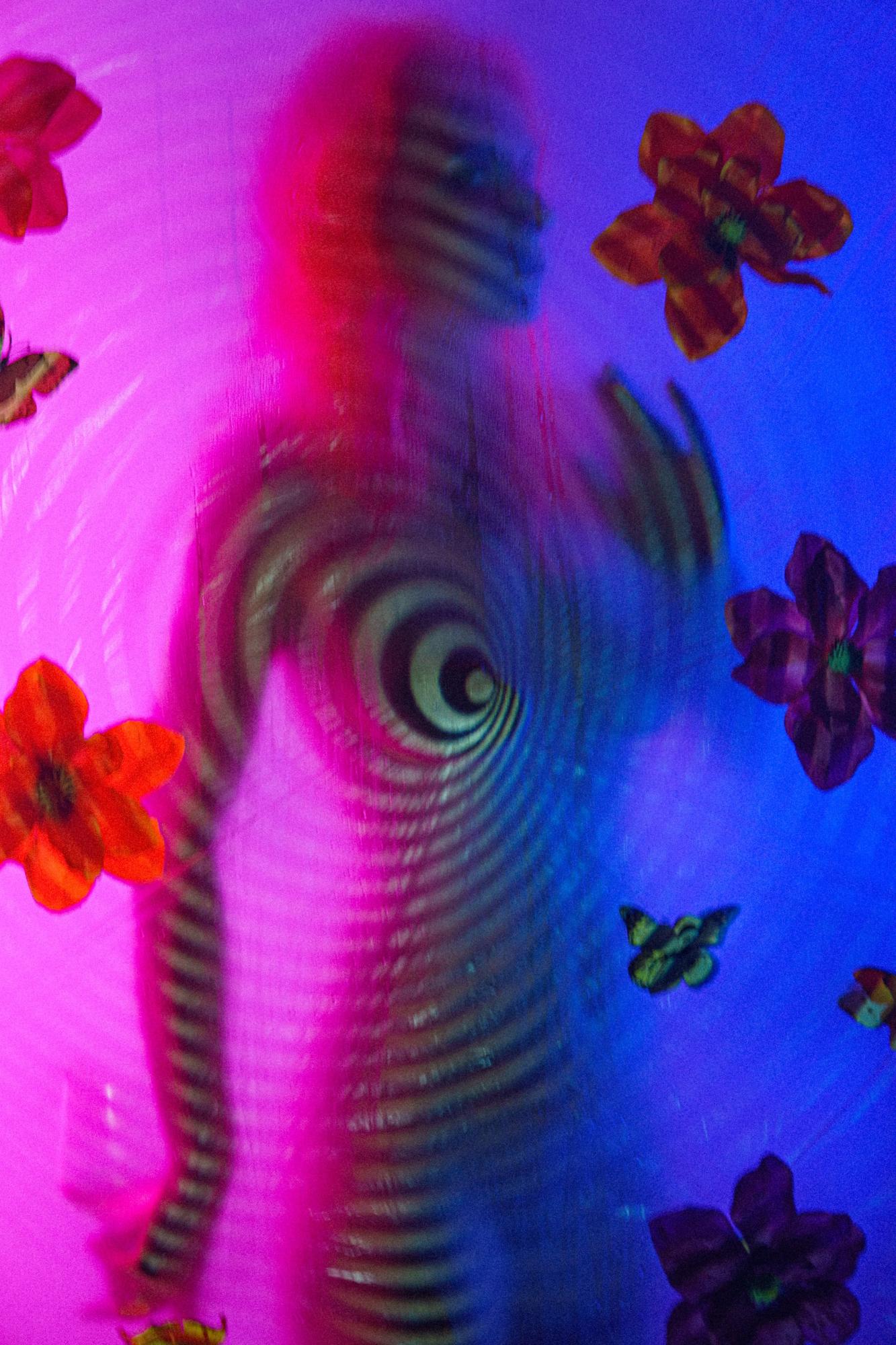 Veiled In Color With Katty - Valleri Shama & Katty Image 6