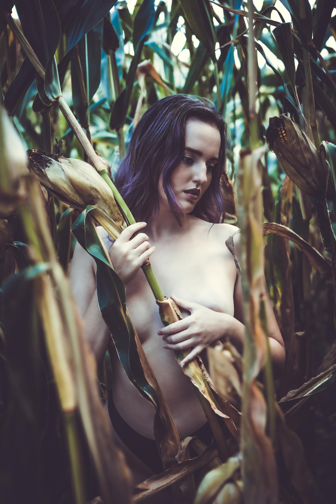 Where The Fields Keep Secrets - Nicole Oberhofer Image 6