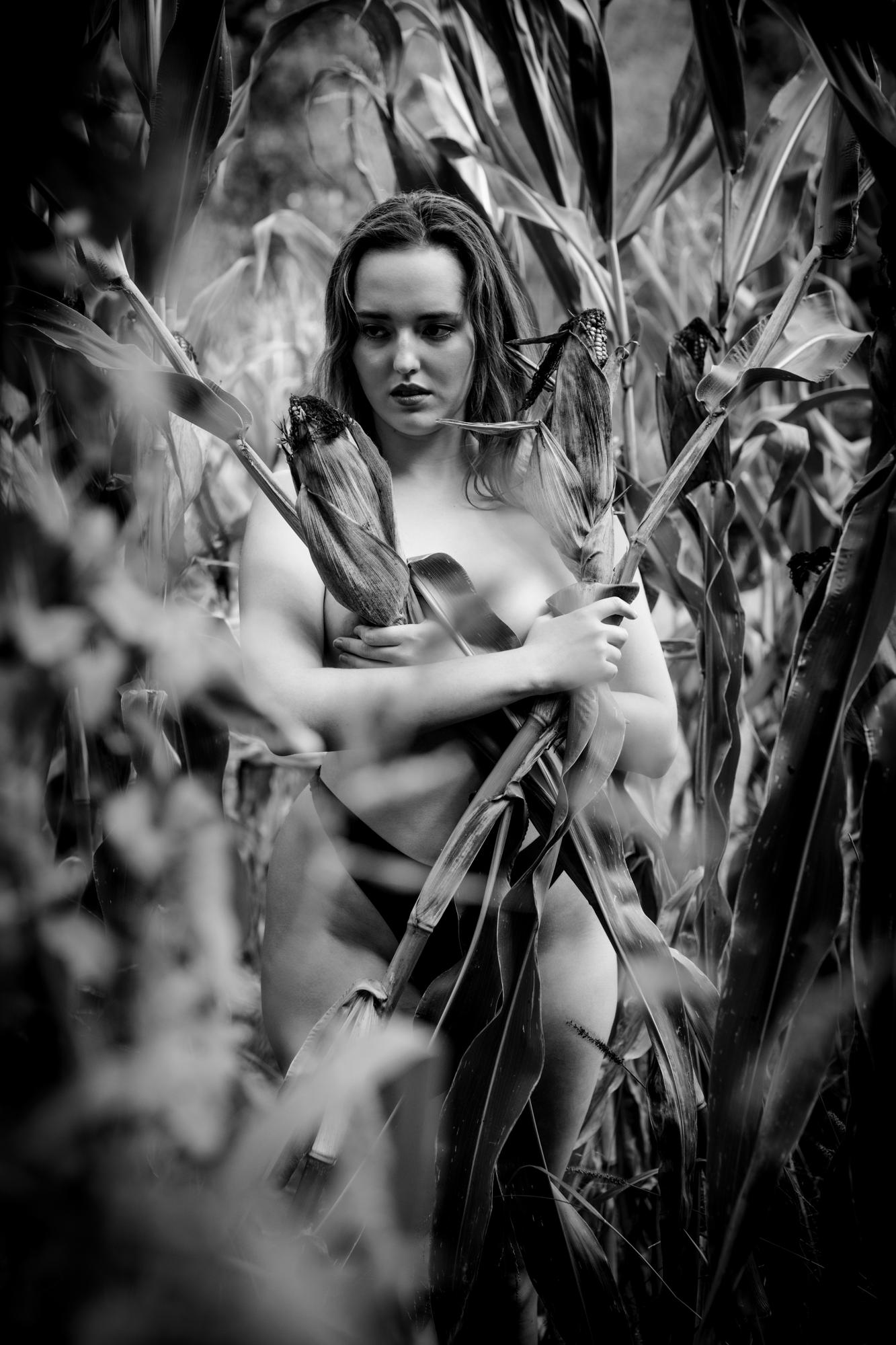 Where The Fields Keep Secrets - Nicole Oberhofer Image 3