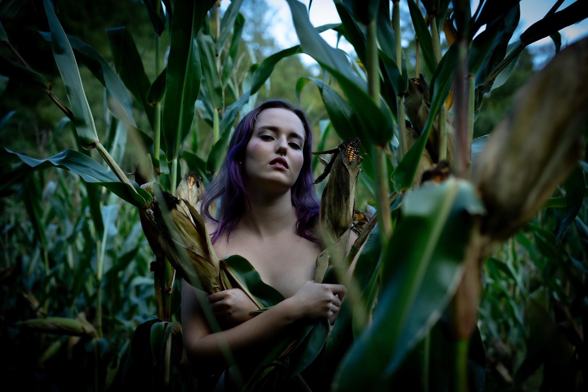 Where The Fields Keep Secrets - Nicole Oberhofer Image 7