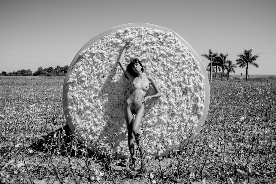 Cotton - Ingrid Sousa & Luciano Freire Image 15