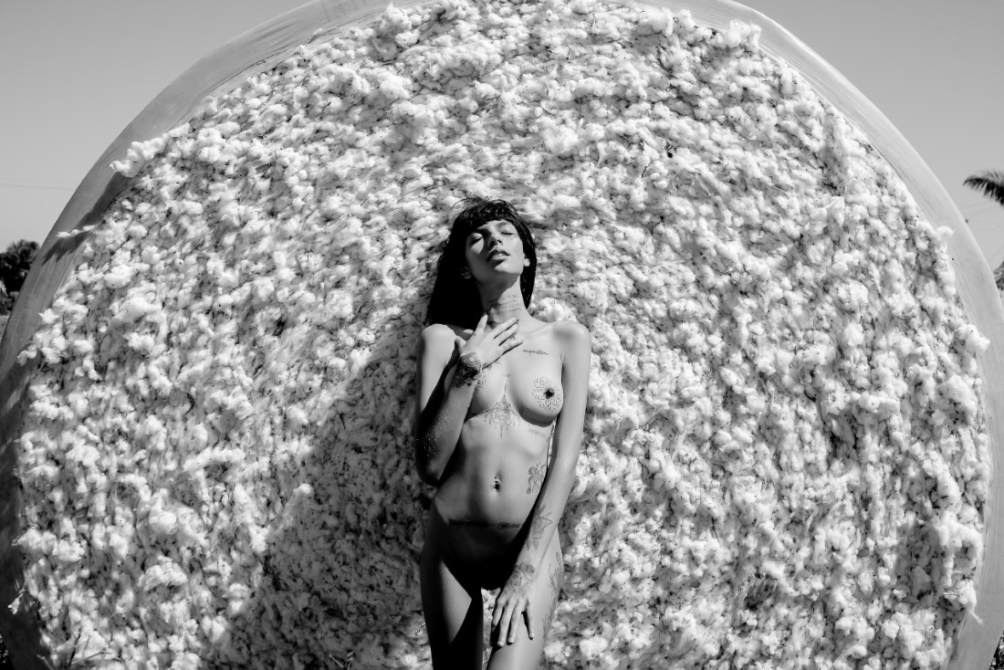 Cotton - Ingrid Sousa & Luciano Freire Image 14